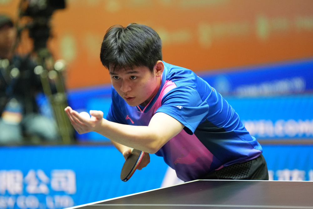 不仅提高了 不仅提高了