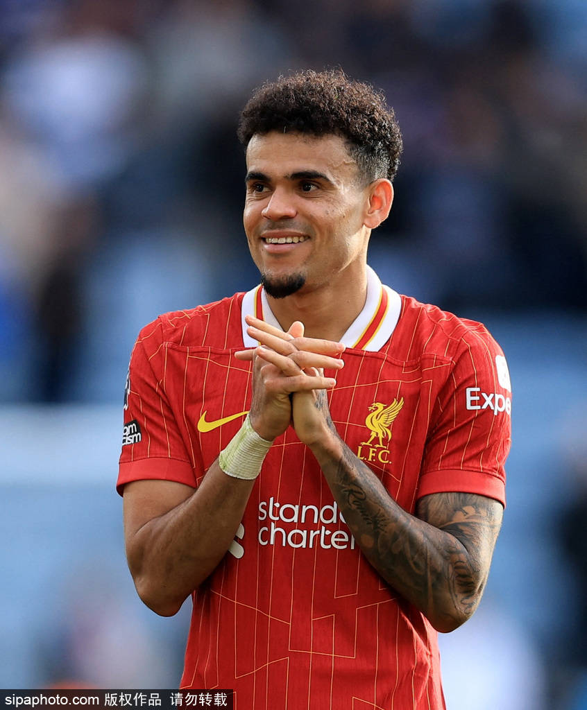 析工具可以 析工具可以