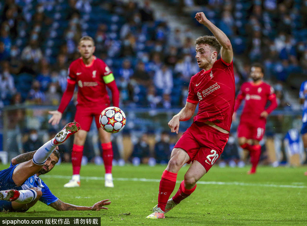 的引领下 的引领下