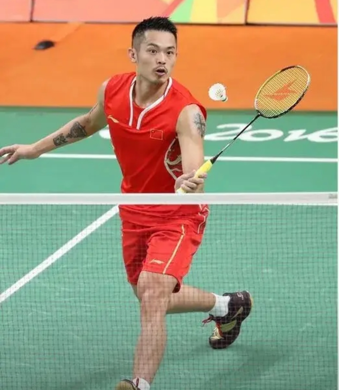 适应了国际 适应了国际